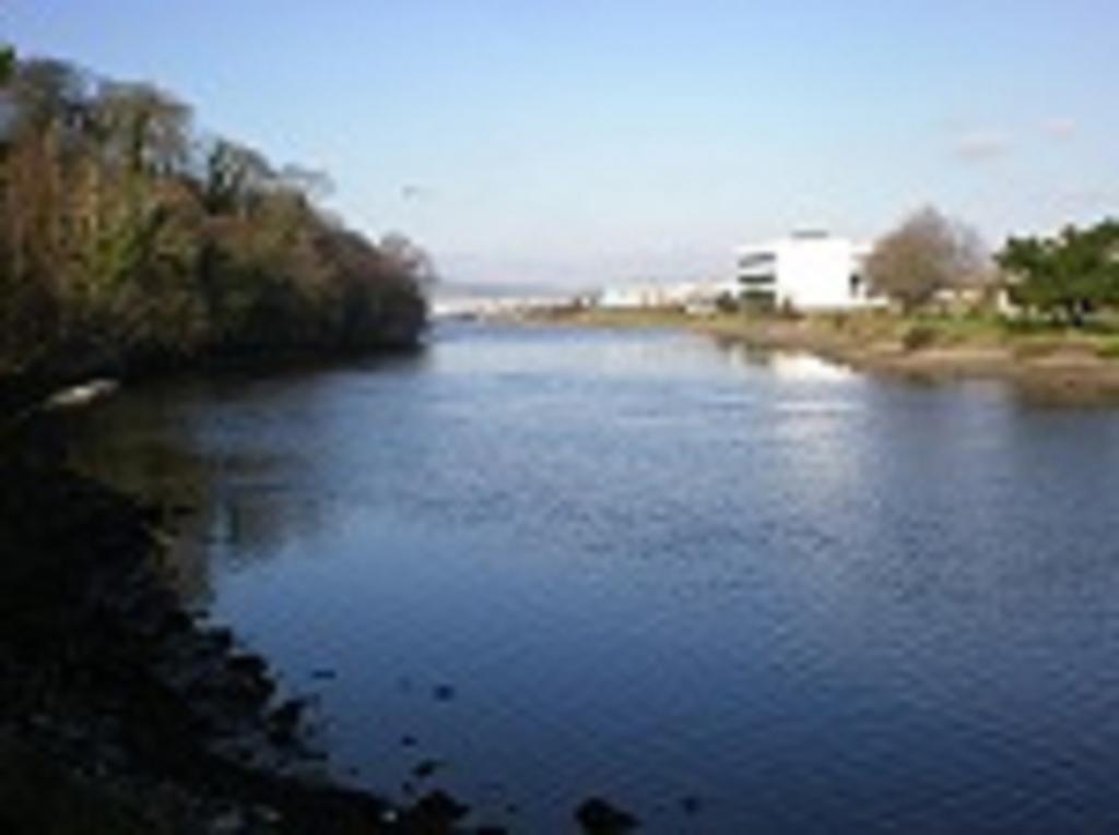 River Lodge Accomodation Wicklow Exteriér fotografie